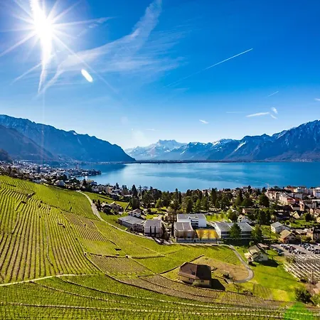 Authentic Middle Ages In The Castle * Clarens